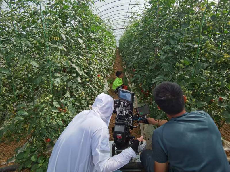 凭祥市产品宣传视频拍摄公司进阶指南，助力品牌抢占传播高地